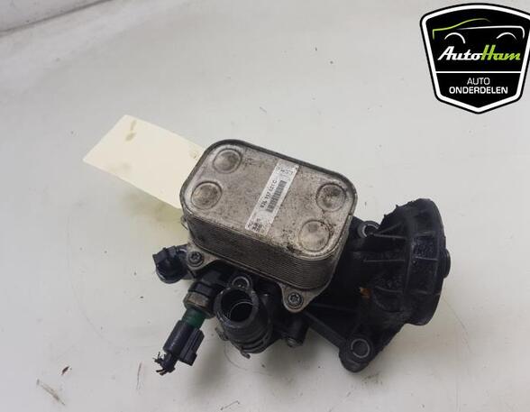 Oil Filter Housing Box SEAT IBIZA IV (6J5, 6P1), SEAT IBIZA IV SC (6J1, 6P5), VW POLO (6R1, 6C1)