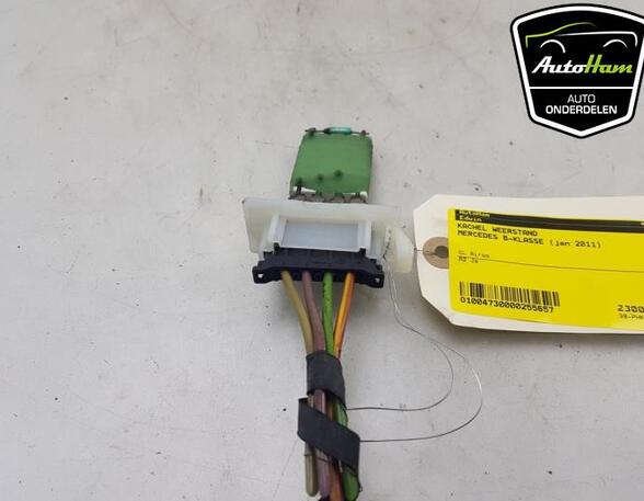 Resistor Interior Blower MERCEDES-BENZ B-CLASS (W245), MERCEDES-BENZ A-CLASS (W169)