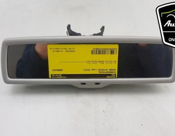 Interior Rear View Mirror VW POLO (6R1, 6C1), VW POLO Van (6R), SKODA OCTAVIA II (1Z3), VW GOLF V (1K1)