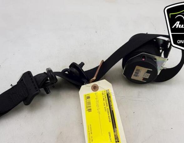 Safety Belts FORD FOCUS C-MAX (DM2), FORD C-MAX (DM2)