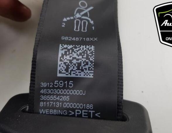 Safety Belts OPEL CROSSLAND X / CROSSLAND (P17, P2QO)