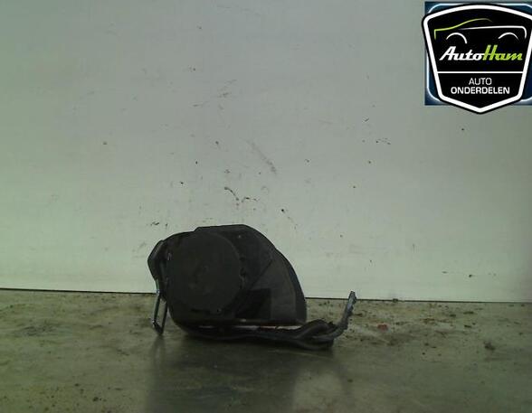 Safety Belts SEAT IBIZA III (6L1)