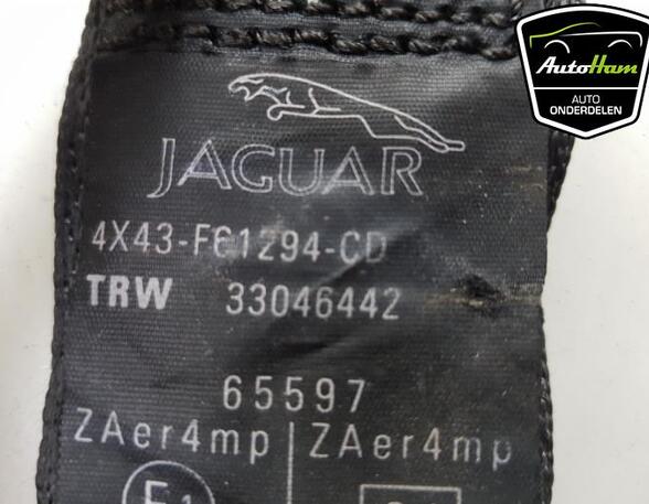 Safety Belts JAGUAR X-TYPE (X400)