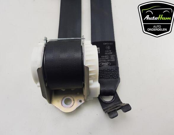 Safety Belts FORD C-MAX II (DXA/CB7, DXA/CEU)