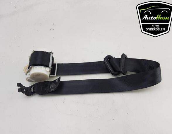 Safety Belts FORD C-MAX II (DXA/CB7, DXA/CEU)