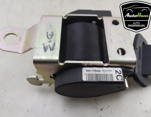 Safety Belts CITROËN C3 PICASSO (SH_)