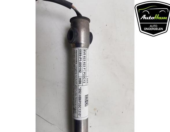 Türverkleidung links Audi A3 Sportback 8V 8V0823823F P20540949