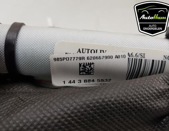 Dak Airbag RENAULT MEGANE III Grandtour (KZ0/1), RENAULT MEGANE III Hatchback (BZ0/1_, B3_)