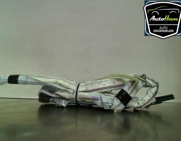 Roof Airbag OPEL ZAFIRA / ZAFIRA FAMILY B (A05)