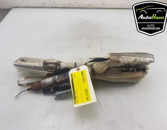 Airbag Dach links Ford S-Max I WA6 1545831 P15641705