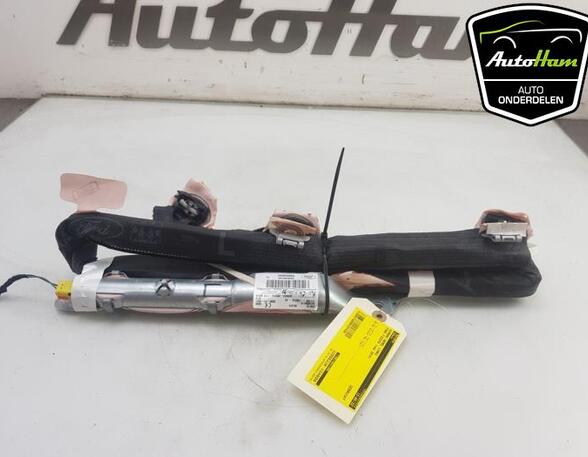 Roof Airbag FORD FIESTA VI (CB1, CCN)