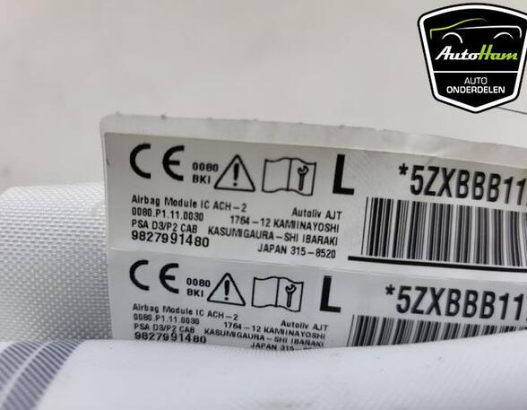 Roof Airbag PEUGEOT 208 II (UB_, UP_, UW_, UJ_), OPEL CORSA F (P2JO)