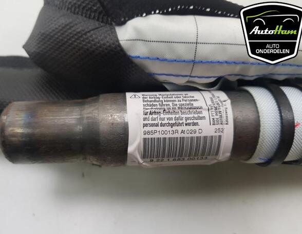 Roof Airbag RENAULT SCÉNIC III (JZ0/1_), RENAULT GRAND SCÉNIC III (JZ0/1_)