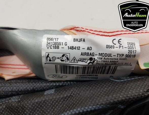 Roof Airbag FORD FIESTA VI (CB1, CCN)