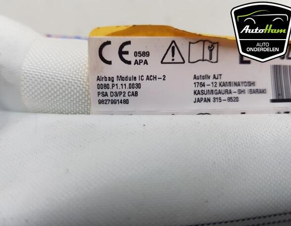 Roof Airbag OPEL CORSA F (P2JO), PEUGEOT 208 II (UB_, UP_, UW_, UJ_)