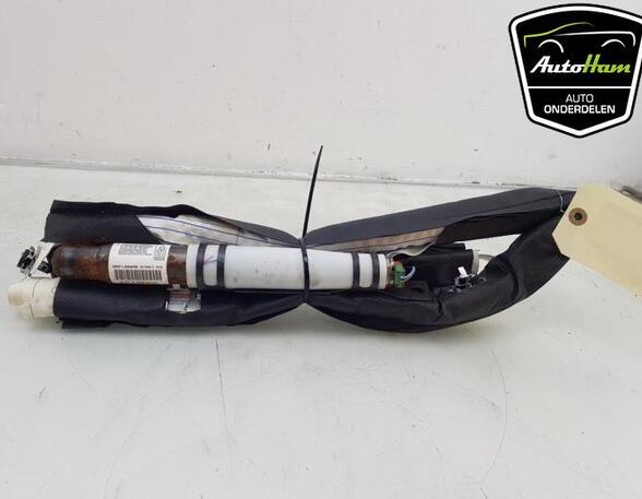 Dak Airbag RENAULT MEGANE III Coupe (DZ0/1_)