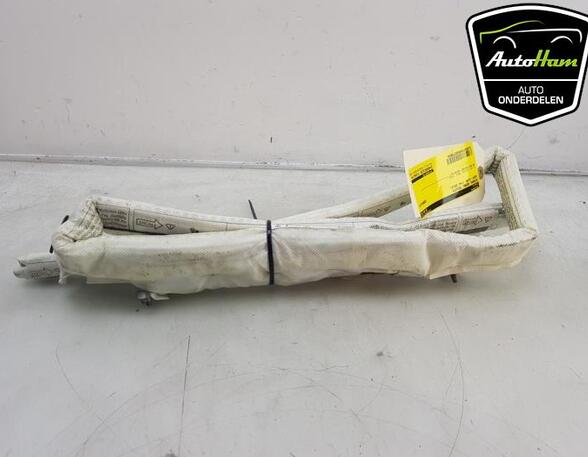 Roof Airbag SEAT LEON (5F1), SEAT LEON SC (5F5), SEAT LEON ST (5F8)