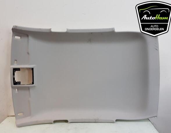 Front Interior Roof Trim Panel SEAT IBIZA V (KJ1, KJG)