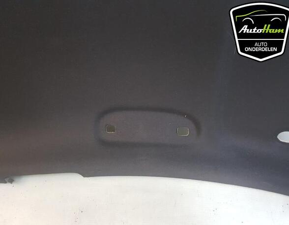 Front roof paneel HYUNDAI i10 III (AC3, AI3)