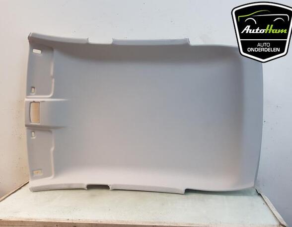 Front Interior Roof Trim Panel SEAT IBIZA V (KJ1, KJG)