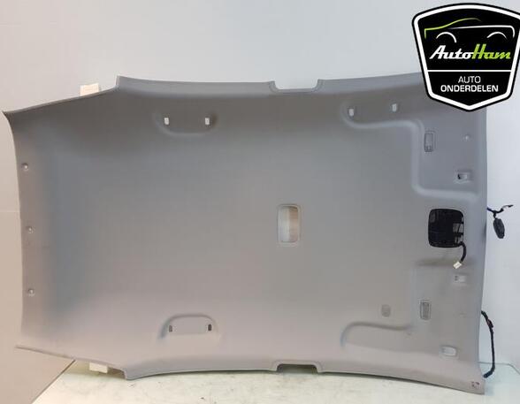 Front Interior Roof Trim Panel KIA RIO III (UB)