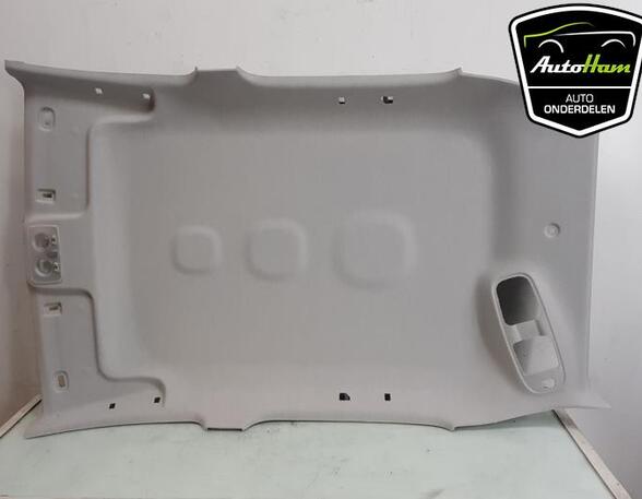 Front Interior Roof Trim Panel FIAT PANDA (312_, 319_), FIAT PANDA VAN (312_, 519_)