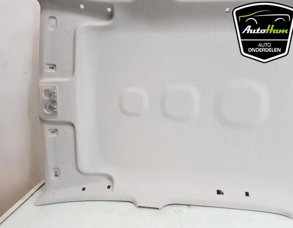 Front Interior Roof Trim Panel FIAT PANDA (312_, 319_), FIAT PANDA VAN (312_, 519_)