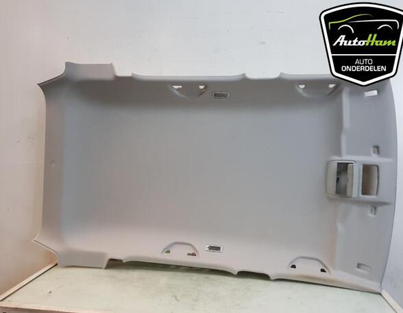 Front Interior Roof Trim Panel SKODA FABIA III Estate (NJ5)