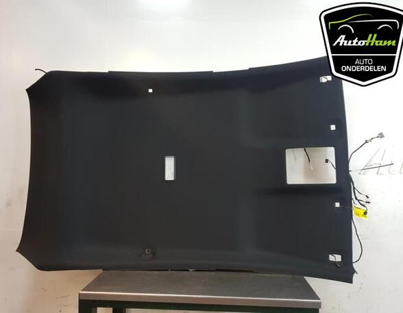 Front Interior Roof Trim Panel FORD FIESTA VII (HJ, HF)