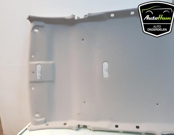 Front Interior Roof Trim Panel DACIA DUSTER (HS_)