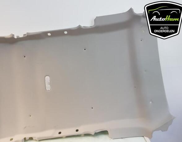 Front Interior Roof Trim Panel DACIA DUSTER (HS_)