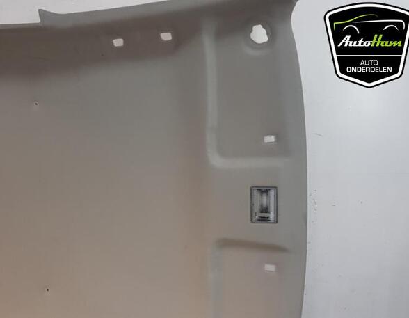 Front Interior Roof Trim Panel CHEVROLET SPARK (M300)