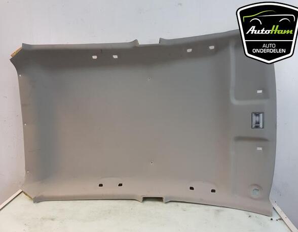 Front Interior Roof Trim Panel CHEVROLET SPARK (M300)