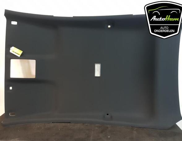 Front Interior Roof Trim Panel FORD FIESTA VII (HJ, HF)