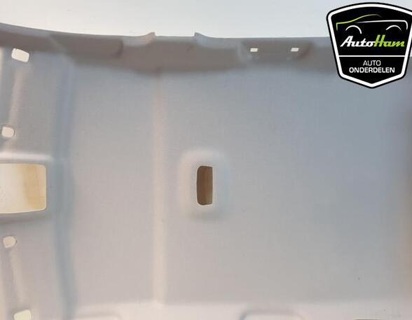 Front Interior Roof Trim Panel RENAULT CAPTUR I (J5_, H5_), RENAULT CLIO IV (BH_)