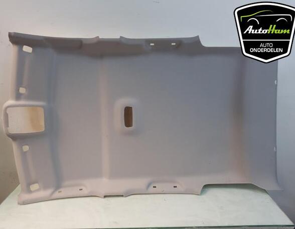 Front Interior Roof Trim Panel RENAULT CAPTUR I (J5_, H5_), RENAULT CLIO IV (BH_)