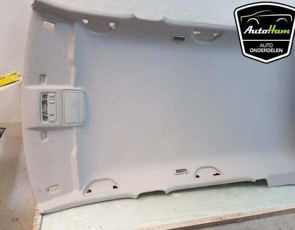 Front Interior Roof Trim Panel SKODA FABIA III Estate (NJ5)