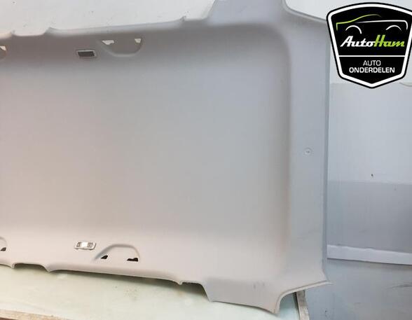 Front Interior Roof Trim Panel SKODA FABIA III Estate (NJ5)