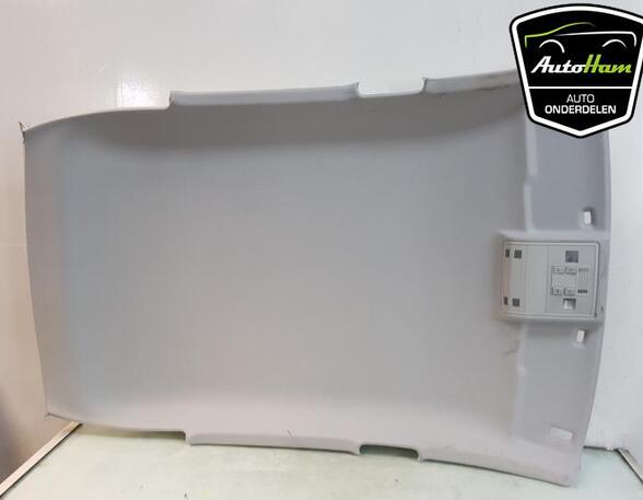 Front Interior Roof Trim Panel SEAT IBIZA V (KJ1, KJG)