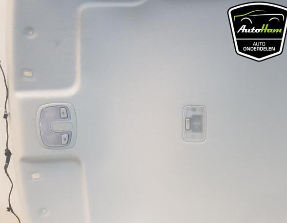 Front Interior Roof Trim Panel HYUNDAI i20 (PB, PBT)