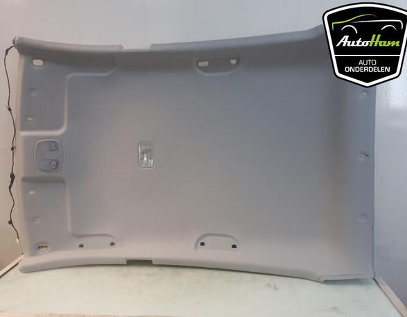 Front Interior Roof Trim Panel HYUNDAI i20 (PB, PBT)