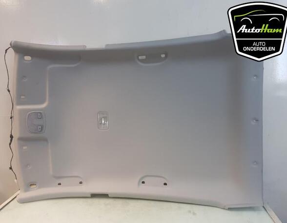 Front Interior Roof Trim Panel HYUNDAI i20 (PB, PBT)