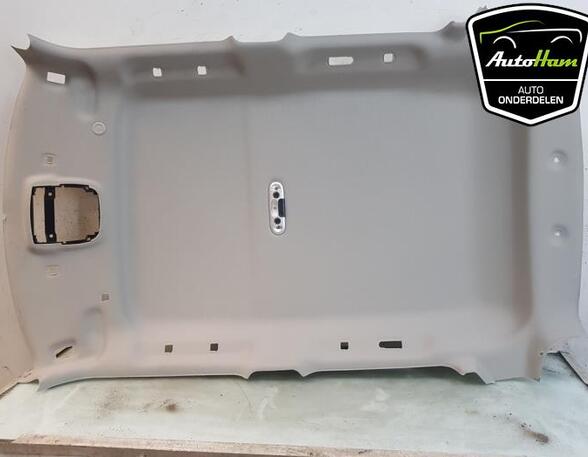 Front Interior Roof Trim Panel MINI MINI (F55)