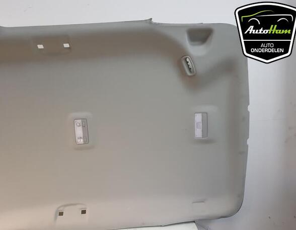 Front Interior Roof Trim Panel OPEL ASTRA J Sports Tourer (P10), OPEL ZAFIRA TOURER C (P12)