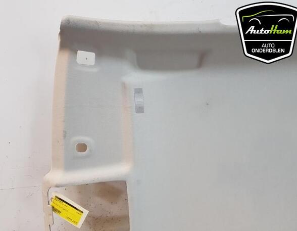 Front Interior Roof Trim Panel RENAULT CLIO V (B7_)