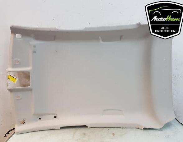 Front Interior Roof Trim Panel RENAULT CLIO V (B7_)