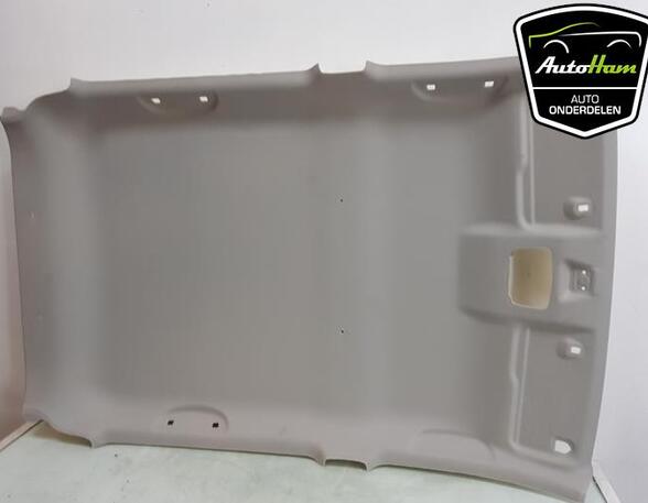 Front Interior Roof Trim Panel SUZUKI CELERIO (LF)