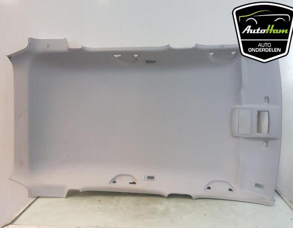 Front Interior Roof Trim Panel SKODA FABIA III Estate (NJ5)