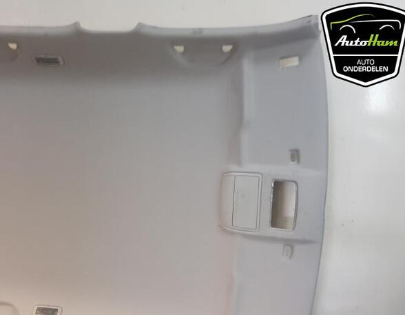 Front Interior Roof Trim Panel SKODA FABIA III Estate (NJ5)