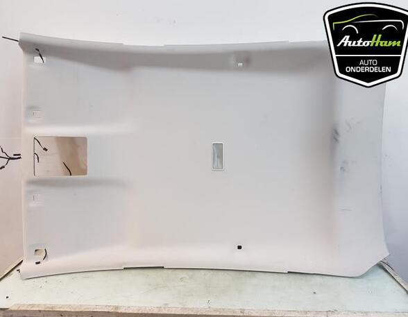 Front Interior Roof Trim Panel FORD FIESTA VII (HJ, HF), FORD FIESTA VII Van